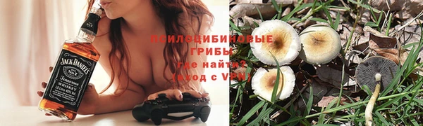 меф Гусев