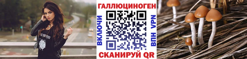 Псилоцибиновые грибы Cubensis Миасс
