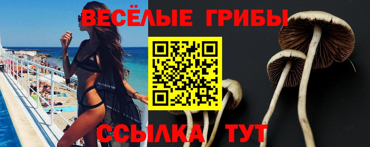 Псилоцибиновые грибы Cubensis  Вход с VPN  Миасс 