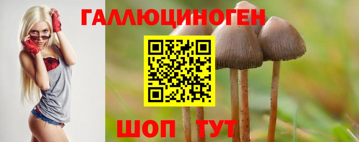 Галлюциногенные грибы Psilocybine cubensis Миасс